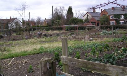 Barby Allotments