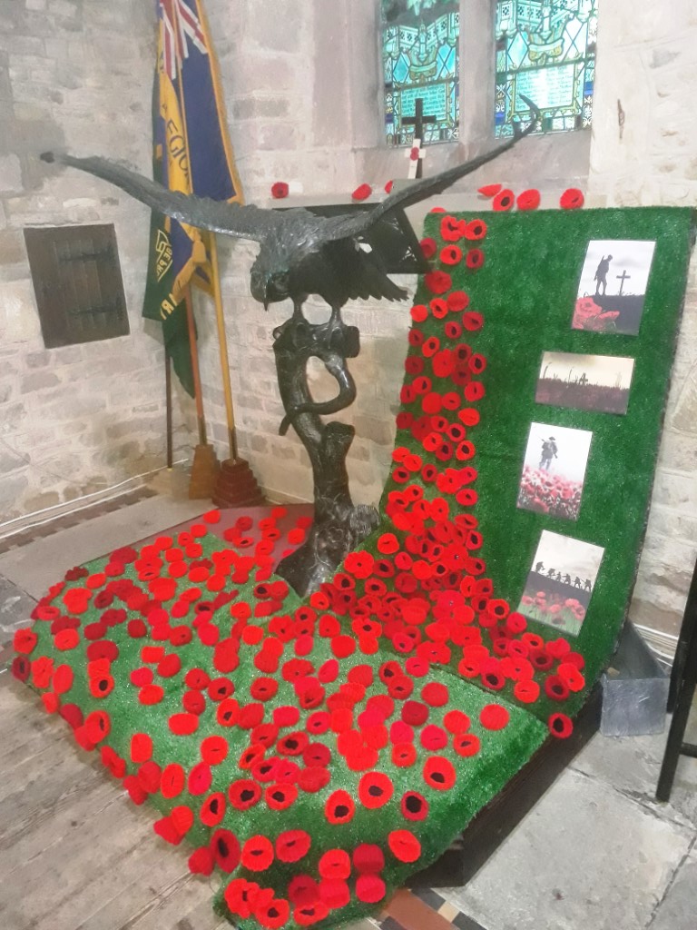 Poppies to commemorate the 100th Anniversary of the end of the First World War