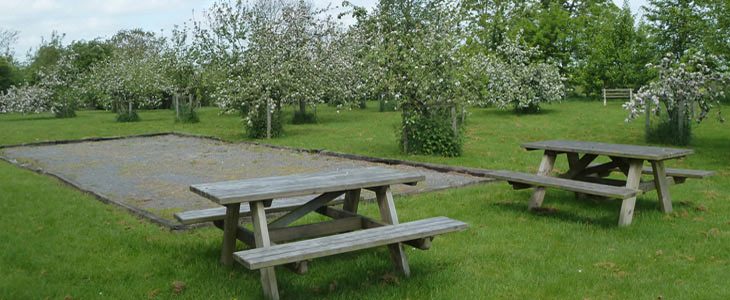 Millennium Orchard