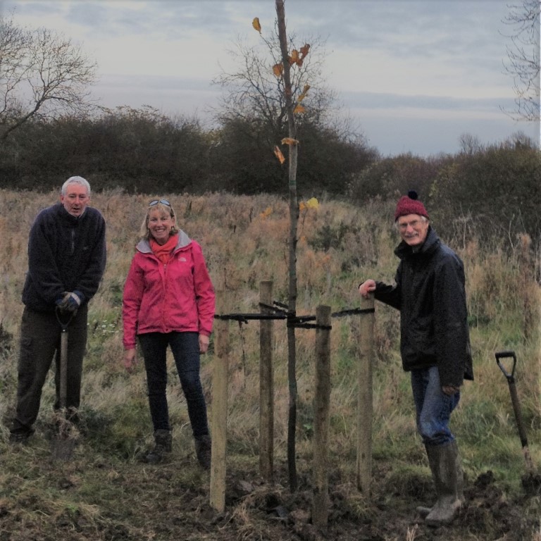 Bernard Scott and Carol and Steve Hamp planting the new elm tree